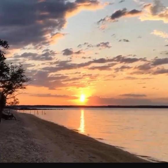 Meet your Posher, Lisa - Picture 1 of 1